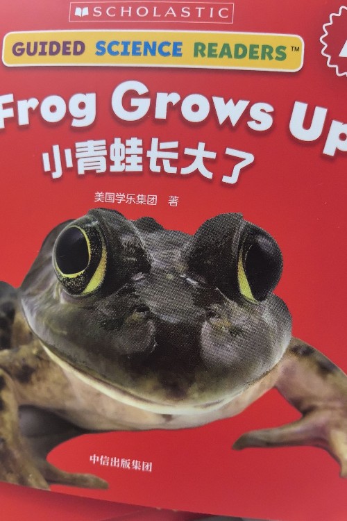 學(xué)樂(lè)小讀者-a frog grows up