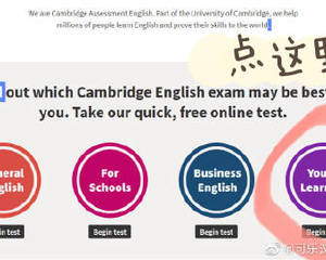 🌾｜4.应该给孩子报哪个级别的剑桥考试？
