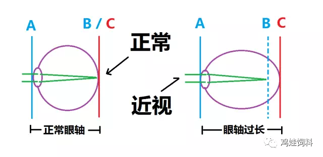 家長避坑六：數(shù)數(shù)