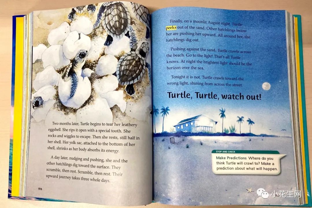 全新版美国语文wonders 帮中小学生系统提升语言与思维能力的 重量级英文program 小花生