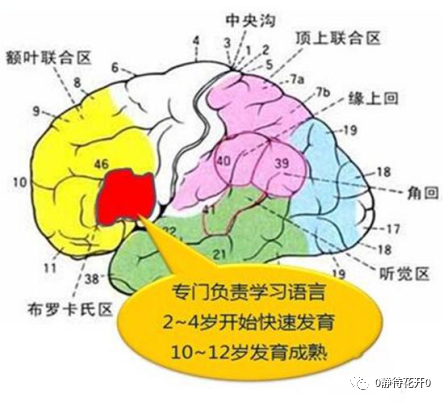 分級讀物掃盲 （