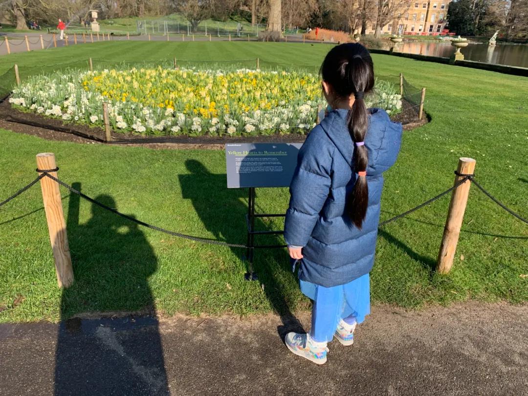 去英國(guó)皇家植物園