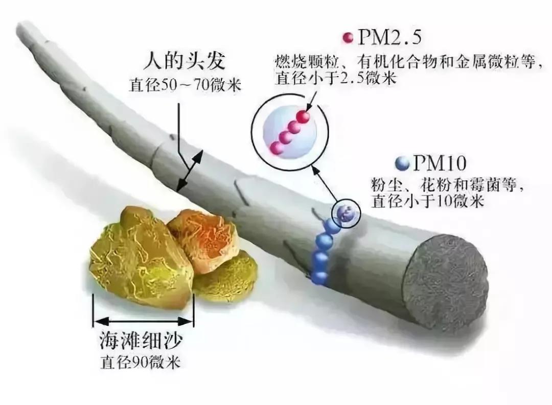 PM10 和 2.5（转