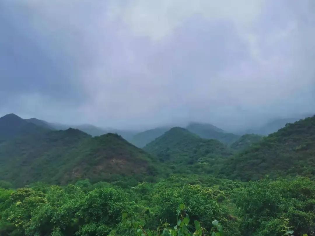 這個端午，我實(shí)在