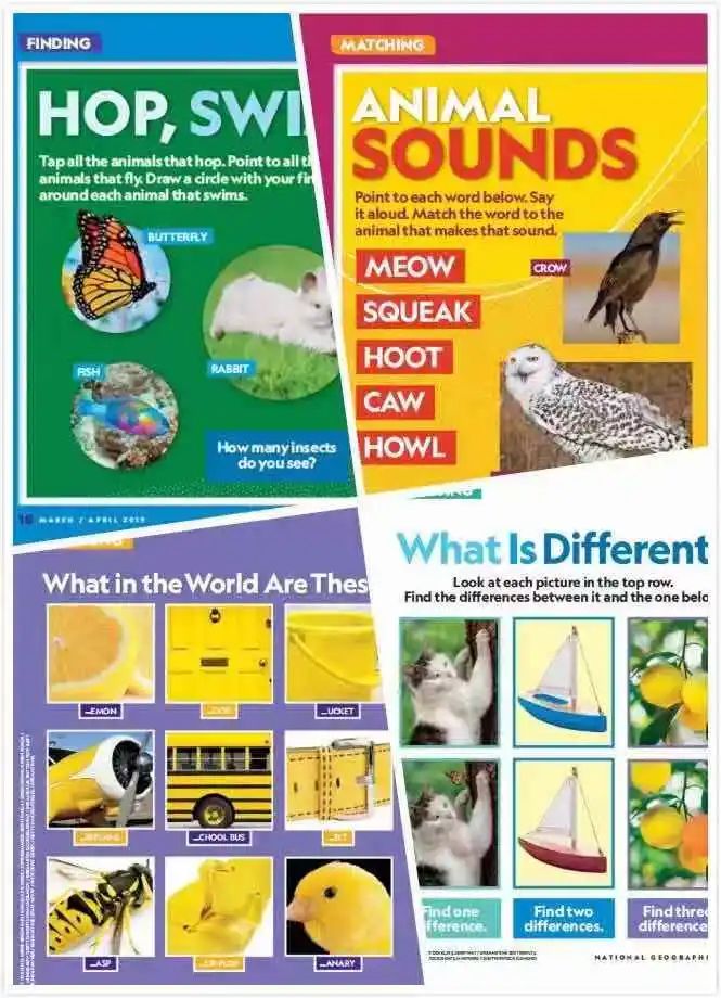 animals(动物):会给孩子们解答他们平时就很好奇的问题.