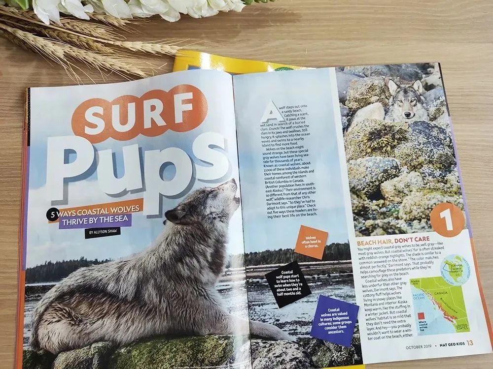 animals(动物):会给孩子们解答他们平时就很好奇的问题.