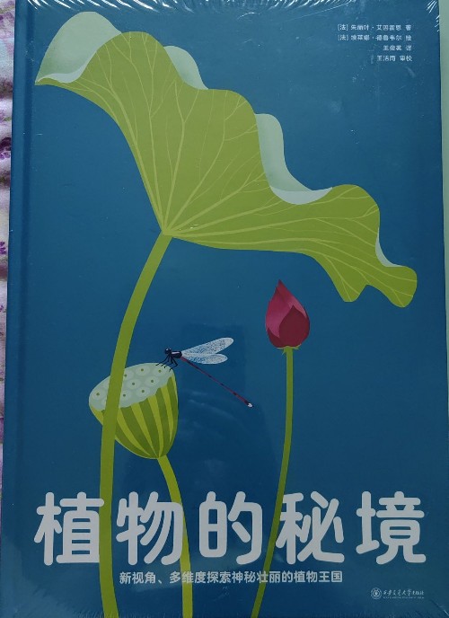 植物的秘境