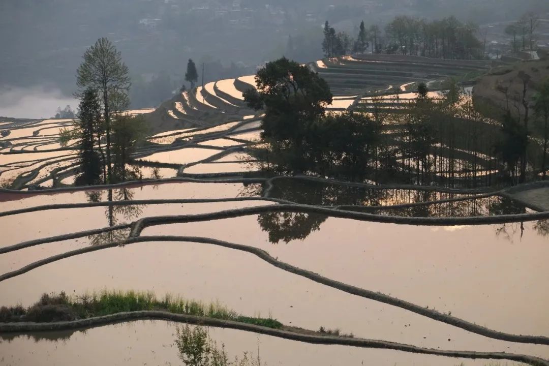 聊繪本 |《盤中餐