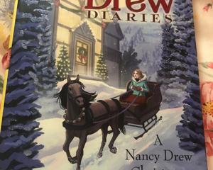 Nancy Drew适合小