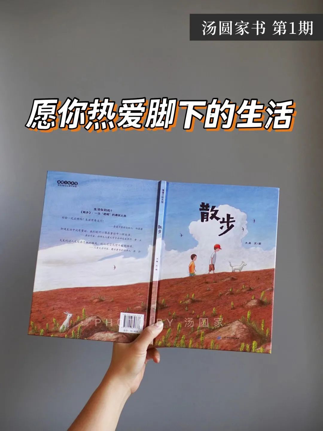 湯圓家書 | 《散