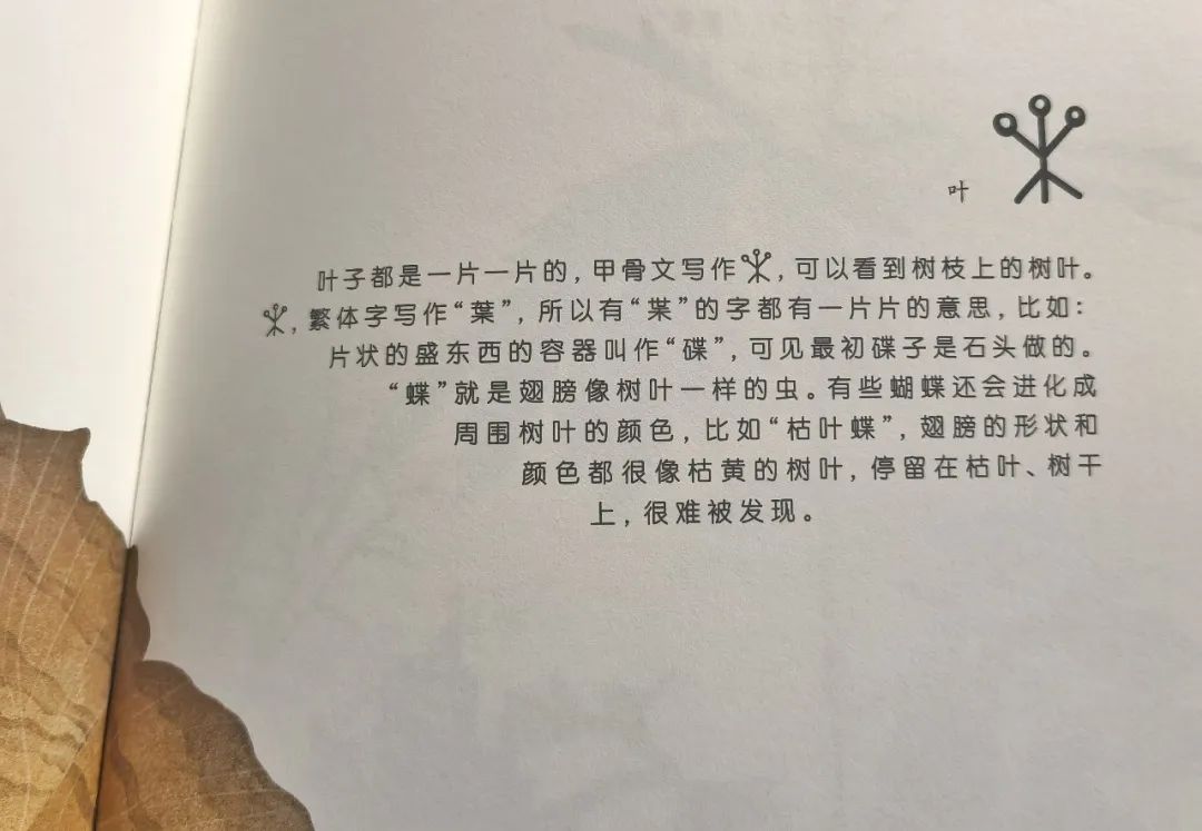 為什么讀了那么多