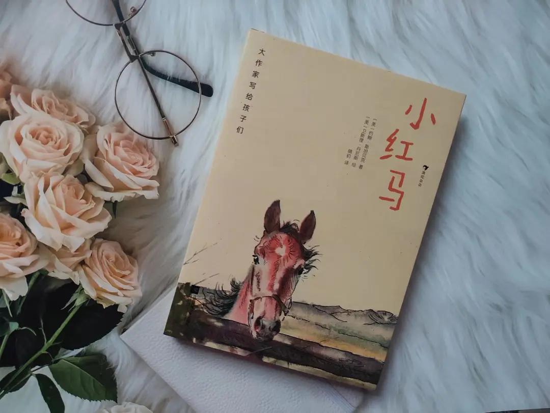 《小紅馬》：認知
