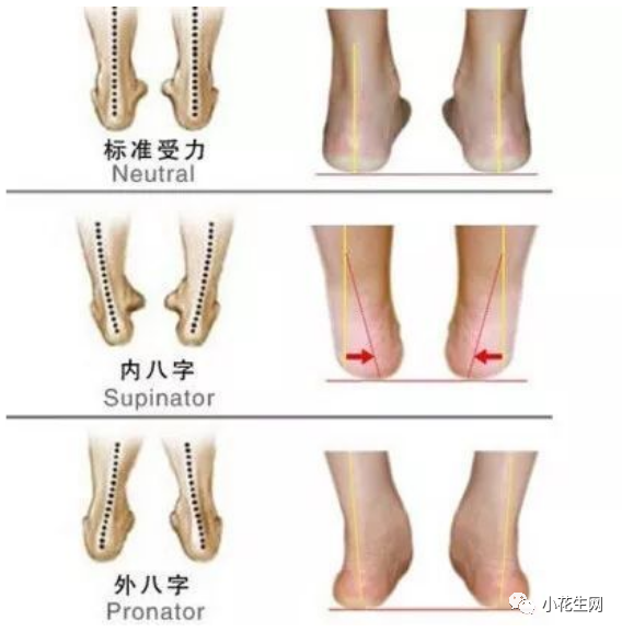 終于要開學(xué)啦！新