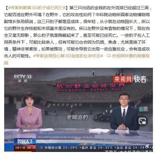 「大中華尋寶記神