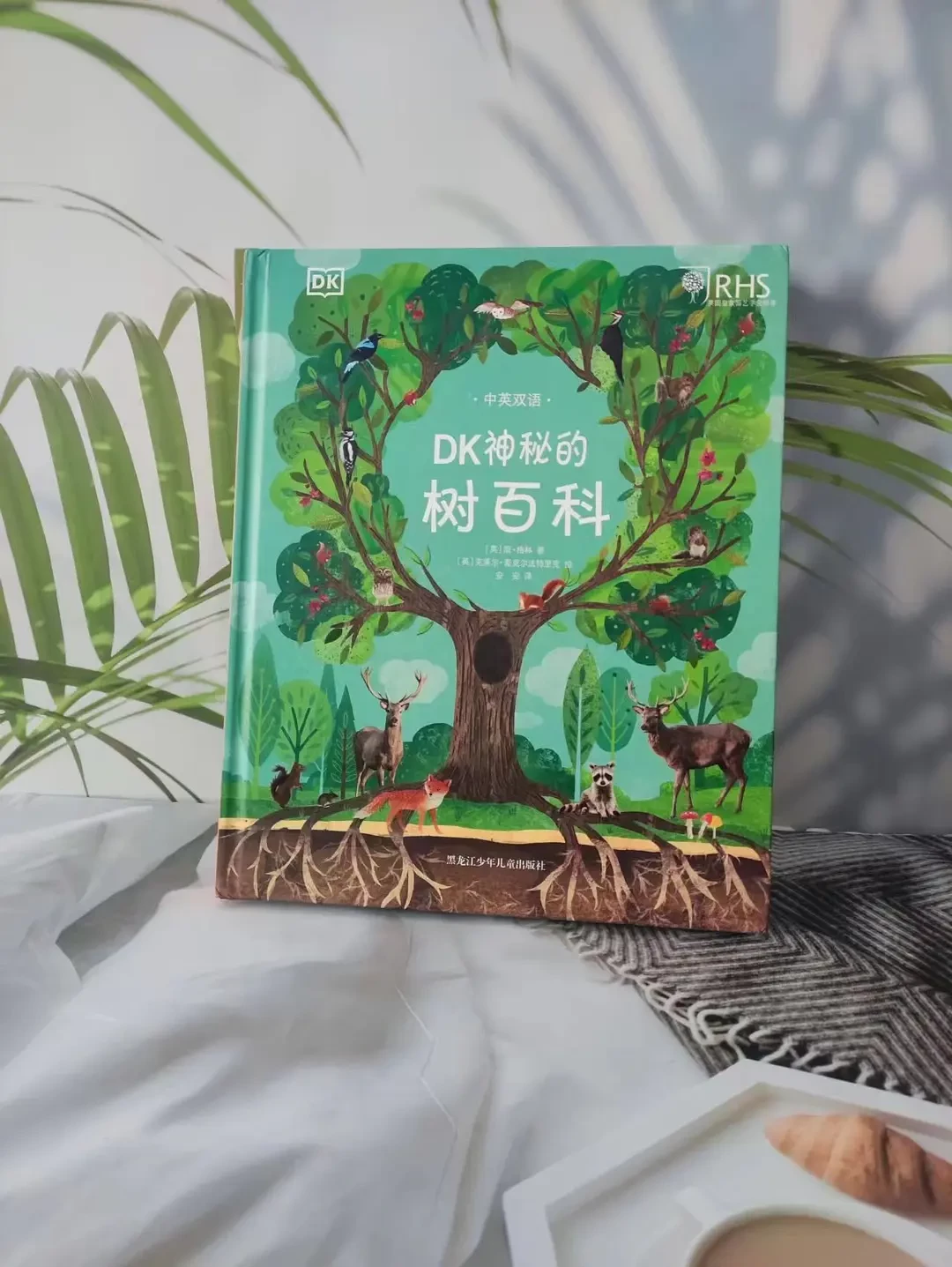 有關(guān)樹的秘密，也