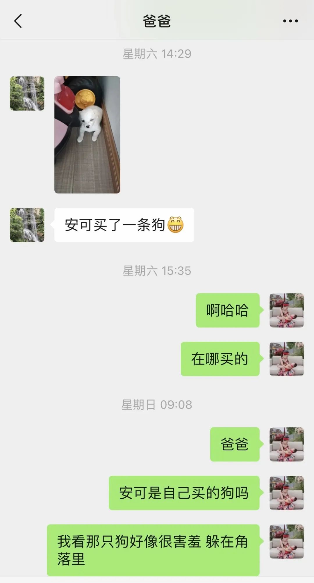 我們家庭的新成員