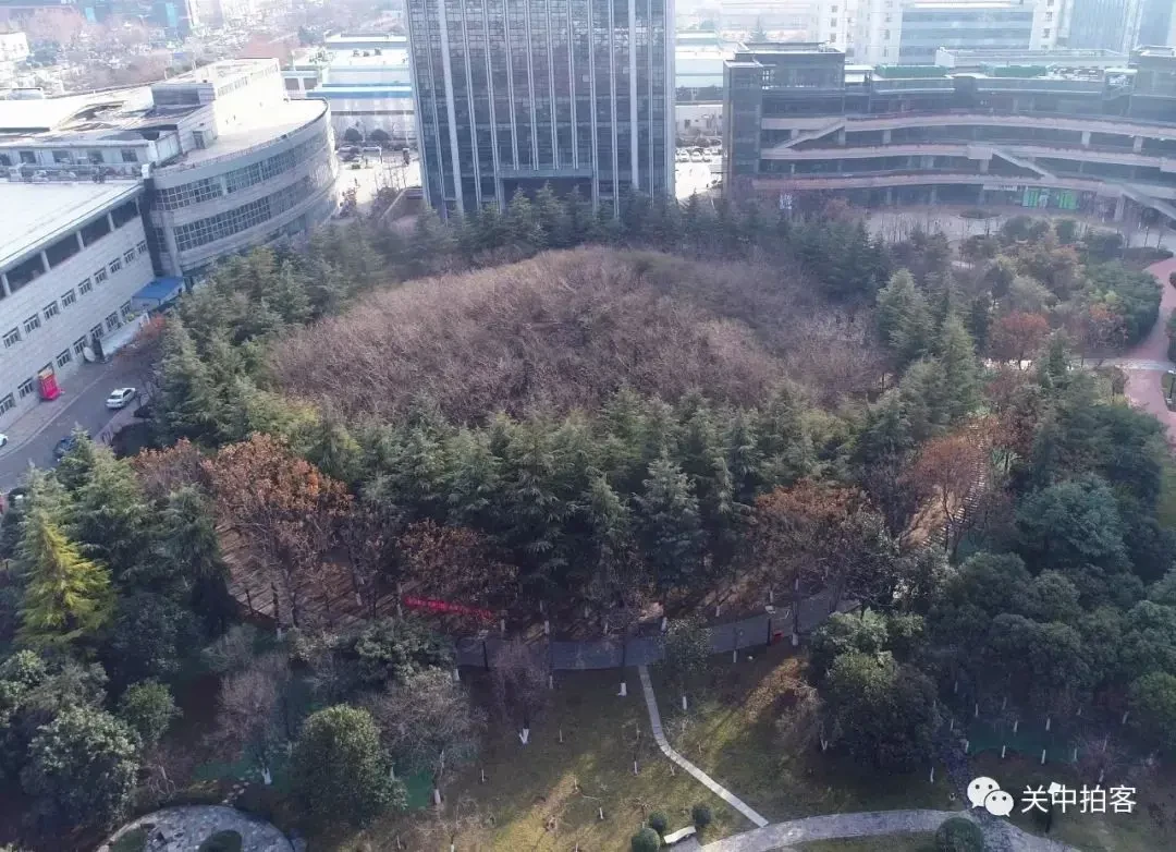 旅行札記1-西安北