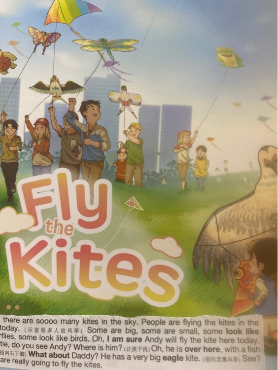 Hello andy2 fly the kites