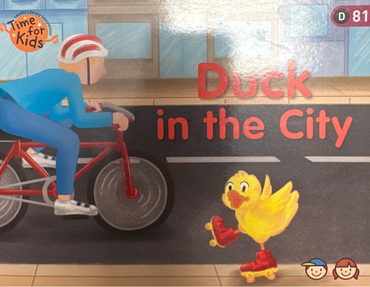 Duck in the city