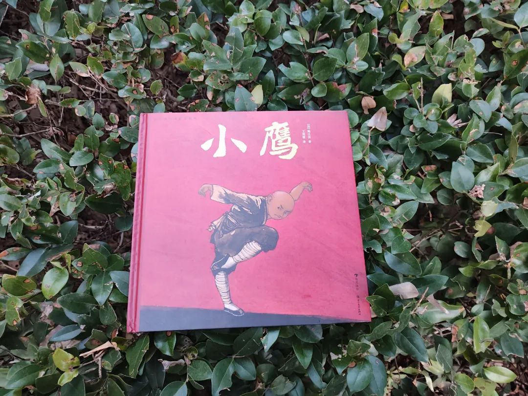 书评《小鹰》：从