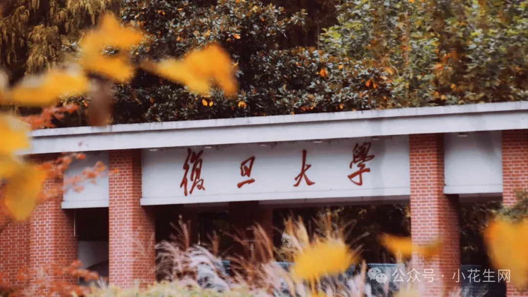高考数学一口气提