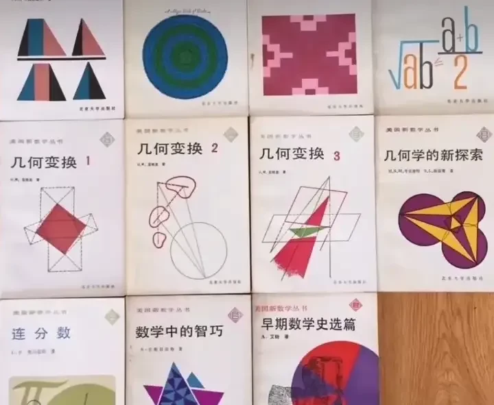 《美國新數(shù)學叢書
