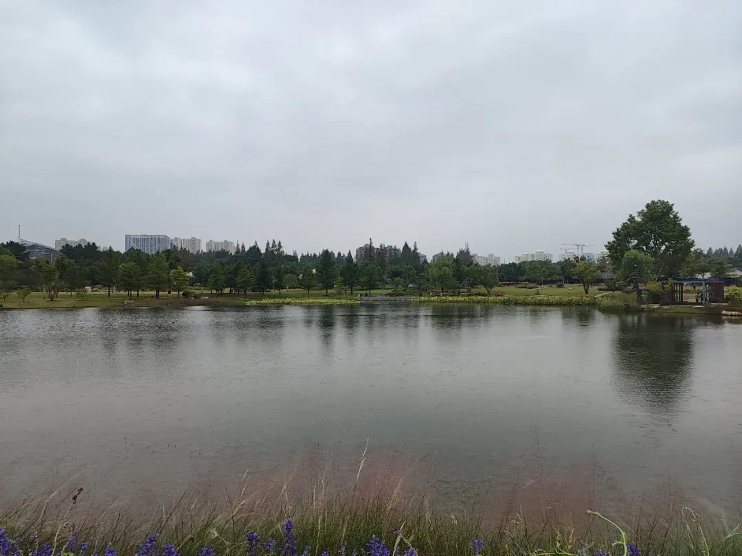 纪念寒露之后本市