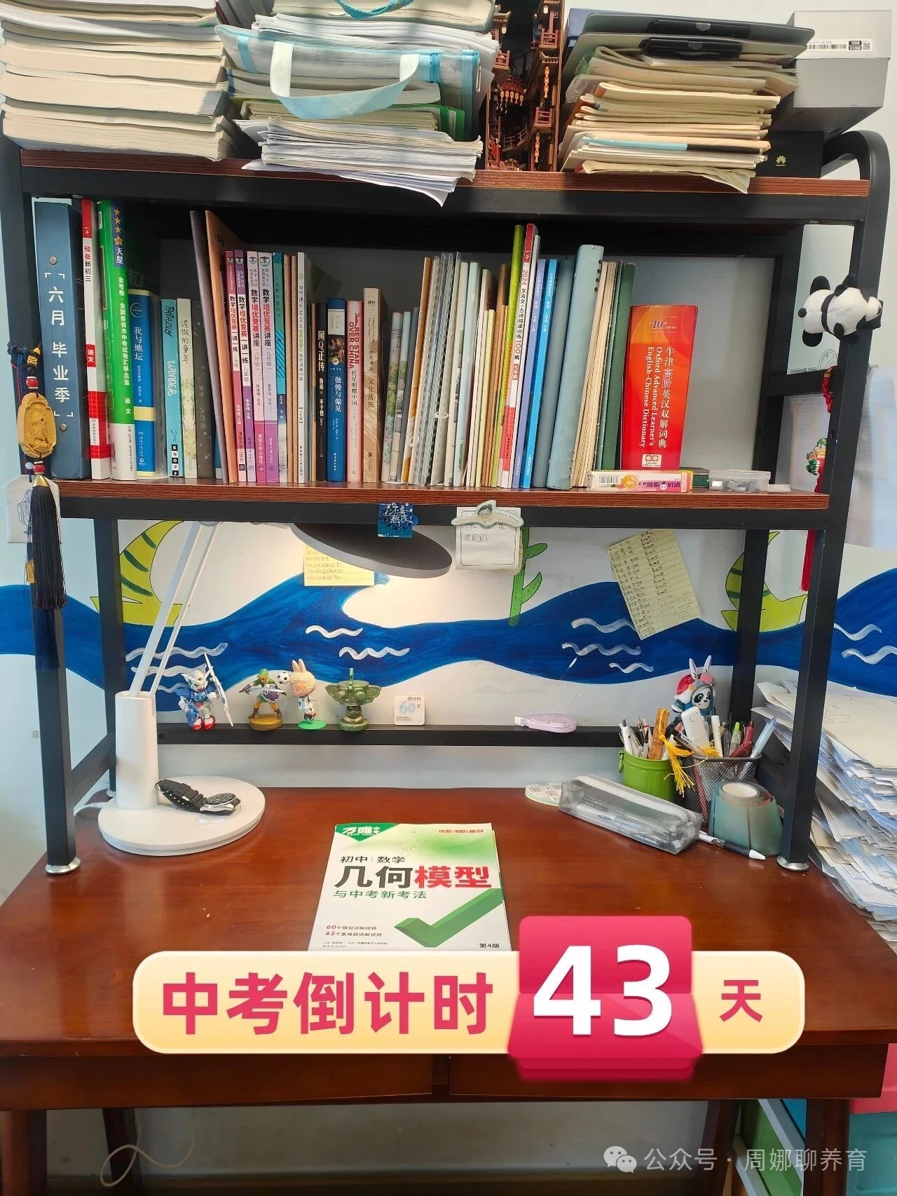 ⏳倒计时43天｜一