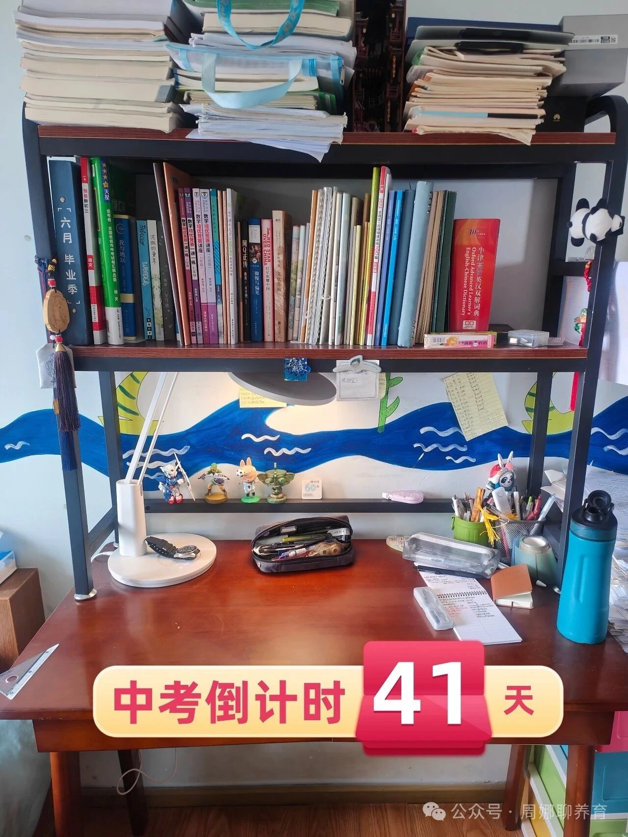 ⏳倒计时41天｜幸