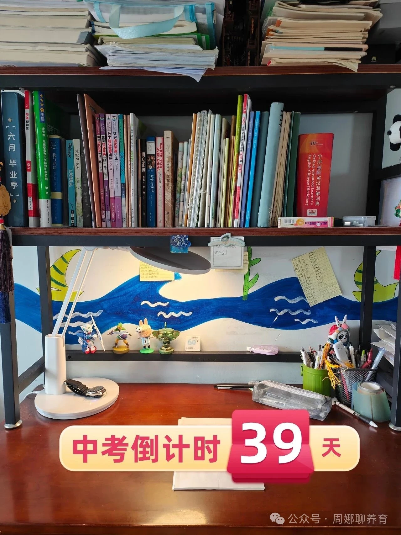 ⏳倒计时39天｜他