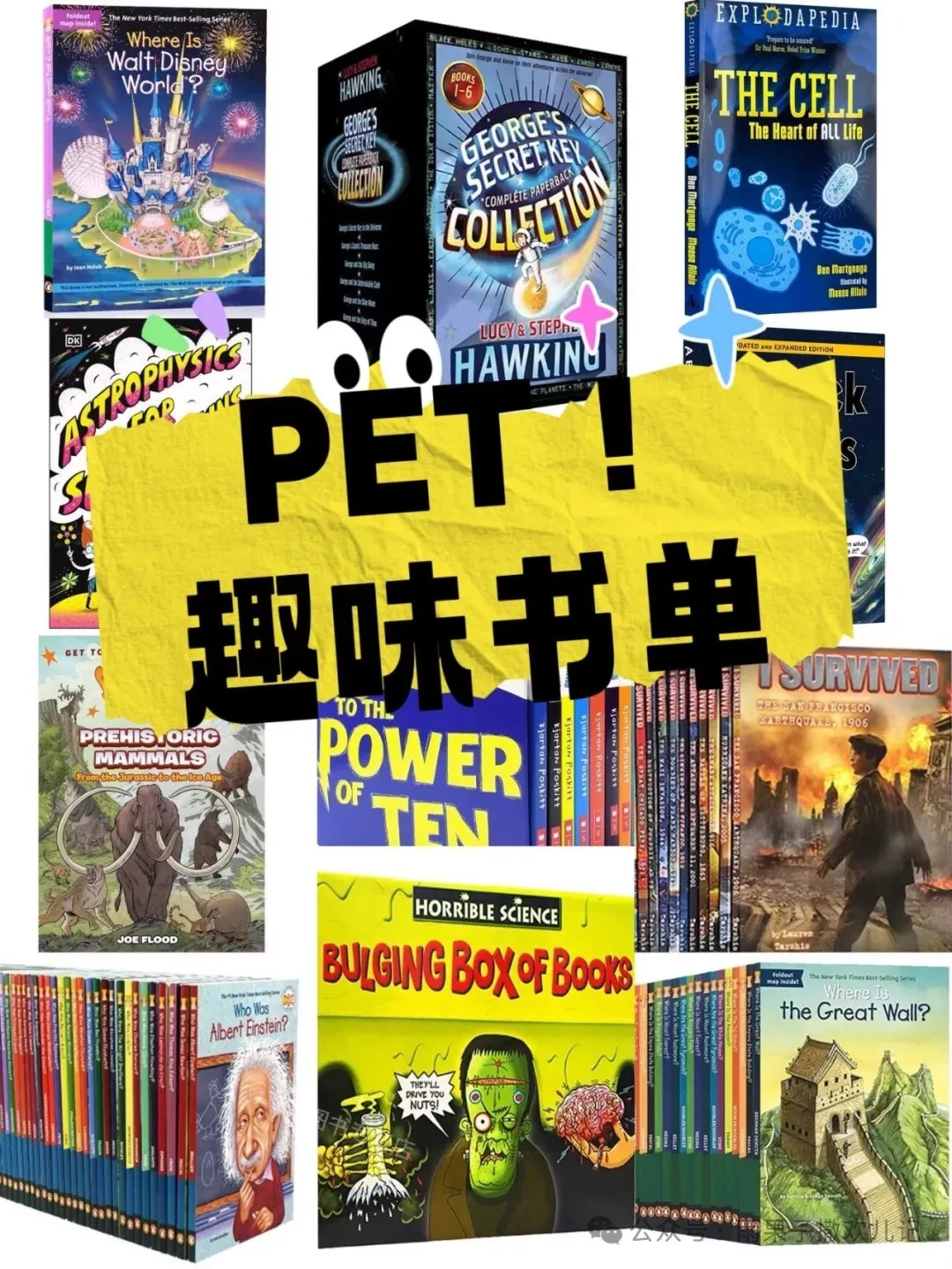 PET  | 10套无痛