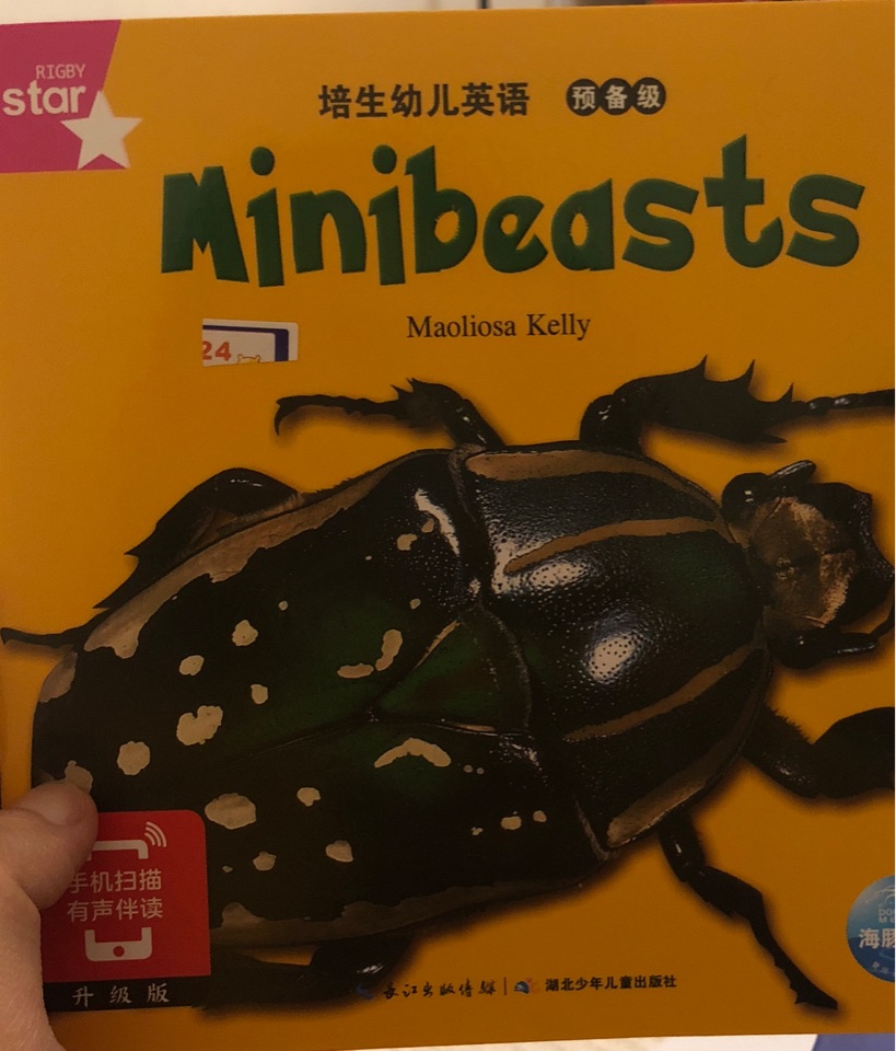 minibeasts