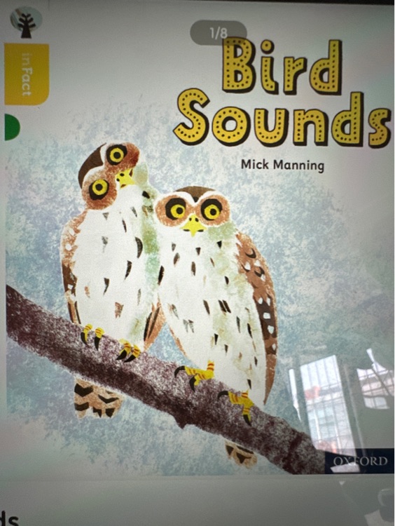 Bird Sounds