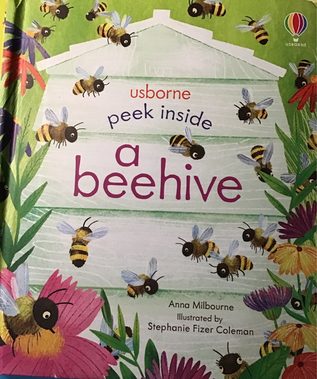 Peek inside a beehive