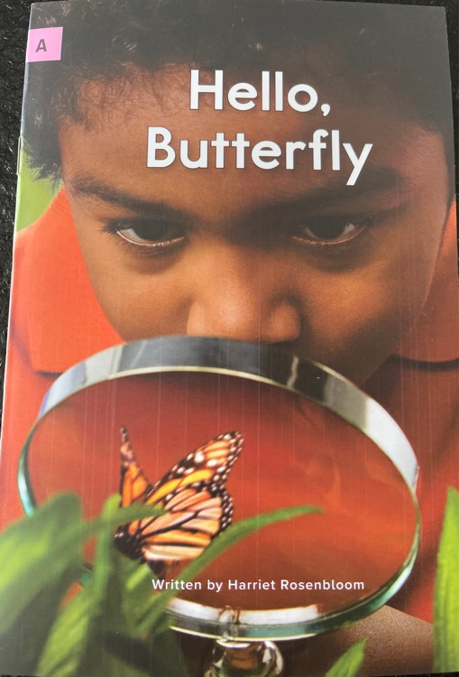 Hello, Butterfly