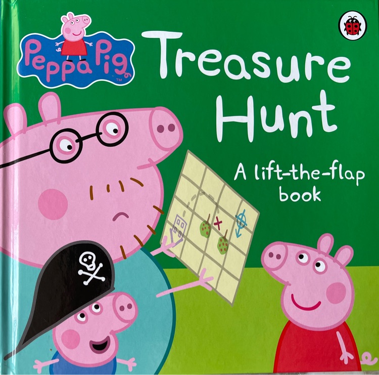 Treasure hunt A lift-the-flap book