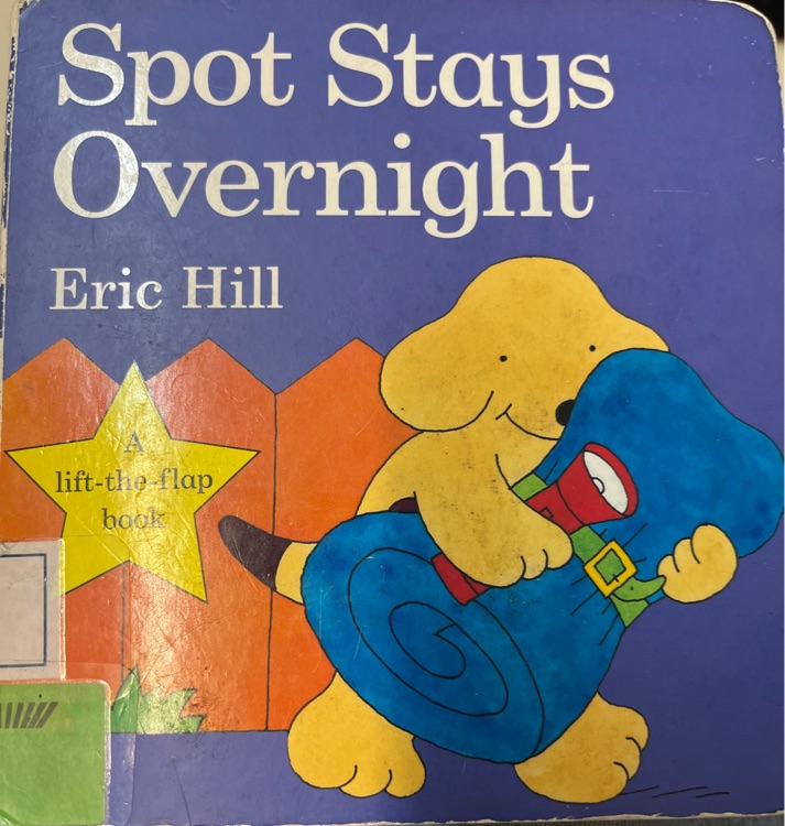 Spot stays overnight