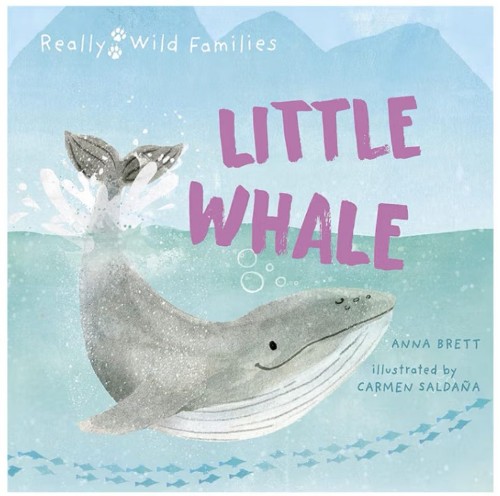 Little whale