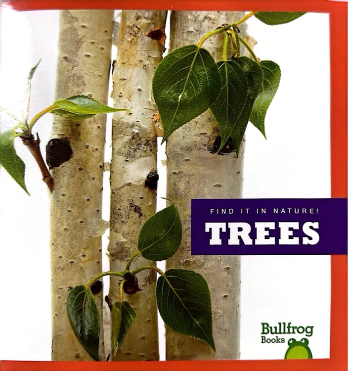 Trees:(Bullfrog Books Books:Find it in nature)