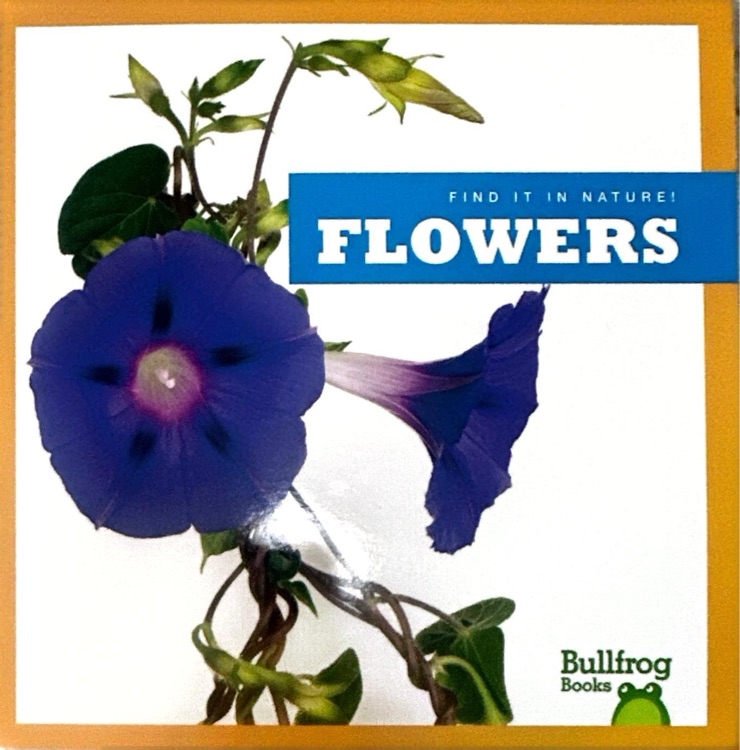 Flowers:(Bullfrog Books Books:Find it in nature)
