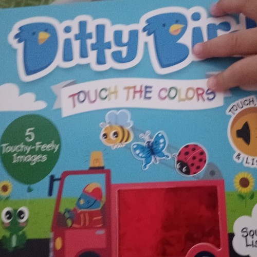 Ditty Bird - Touch The colors