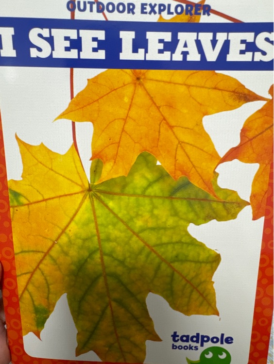 i see leaves