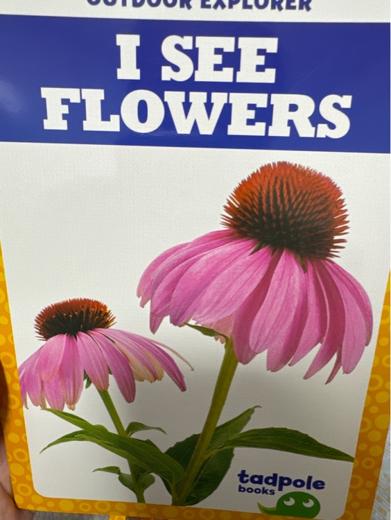 i see flowers