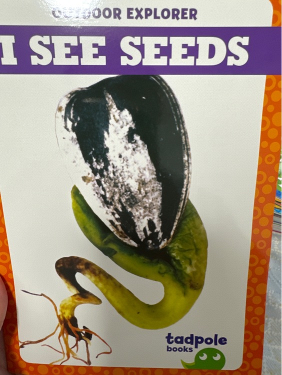 i see seeds