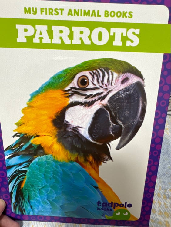 parrots