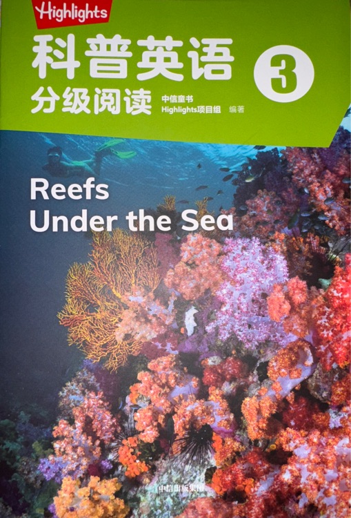 reefs under the sea