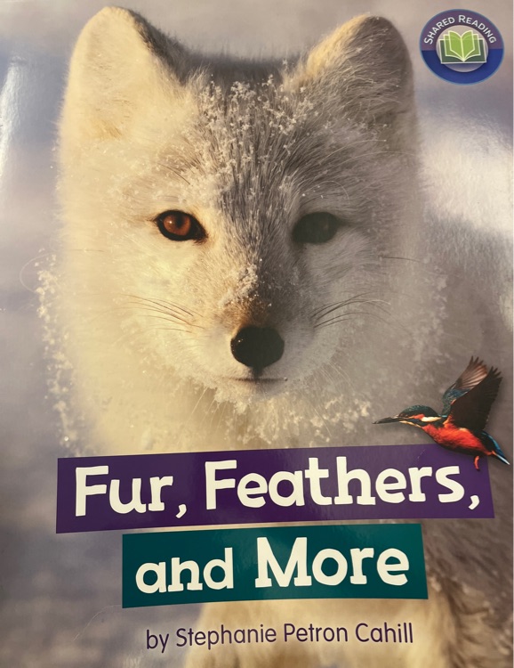 Fur, Feathers, and More