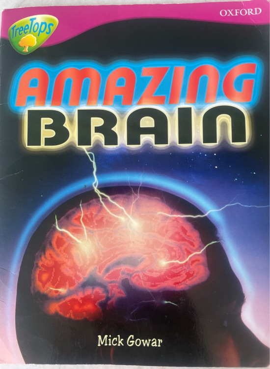 Amazing Brain