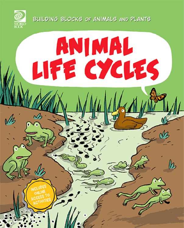Building Blocks of Animals and Plants: Animal Life Cycles