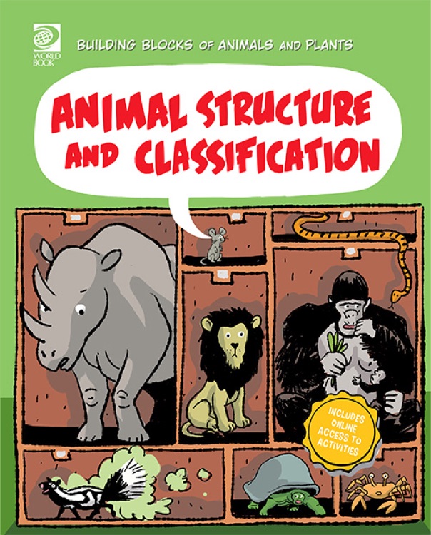 Building Blocks of Animals and Plants: Animal Structure and Classification
